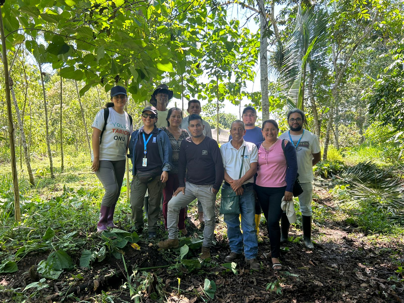Recorrido en plantación de sistemas agroforestales en provincia de Sucumbíos 