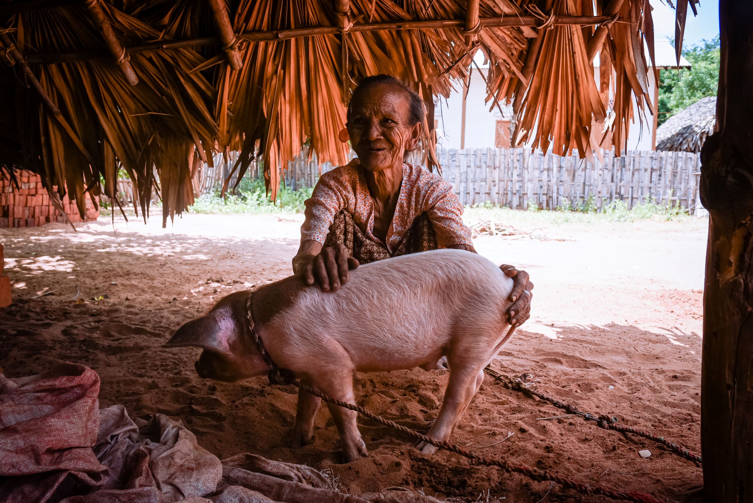 Daw Tin Thein, 70, with her piglet