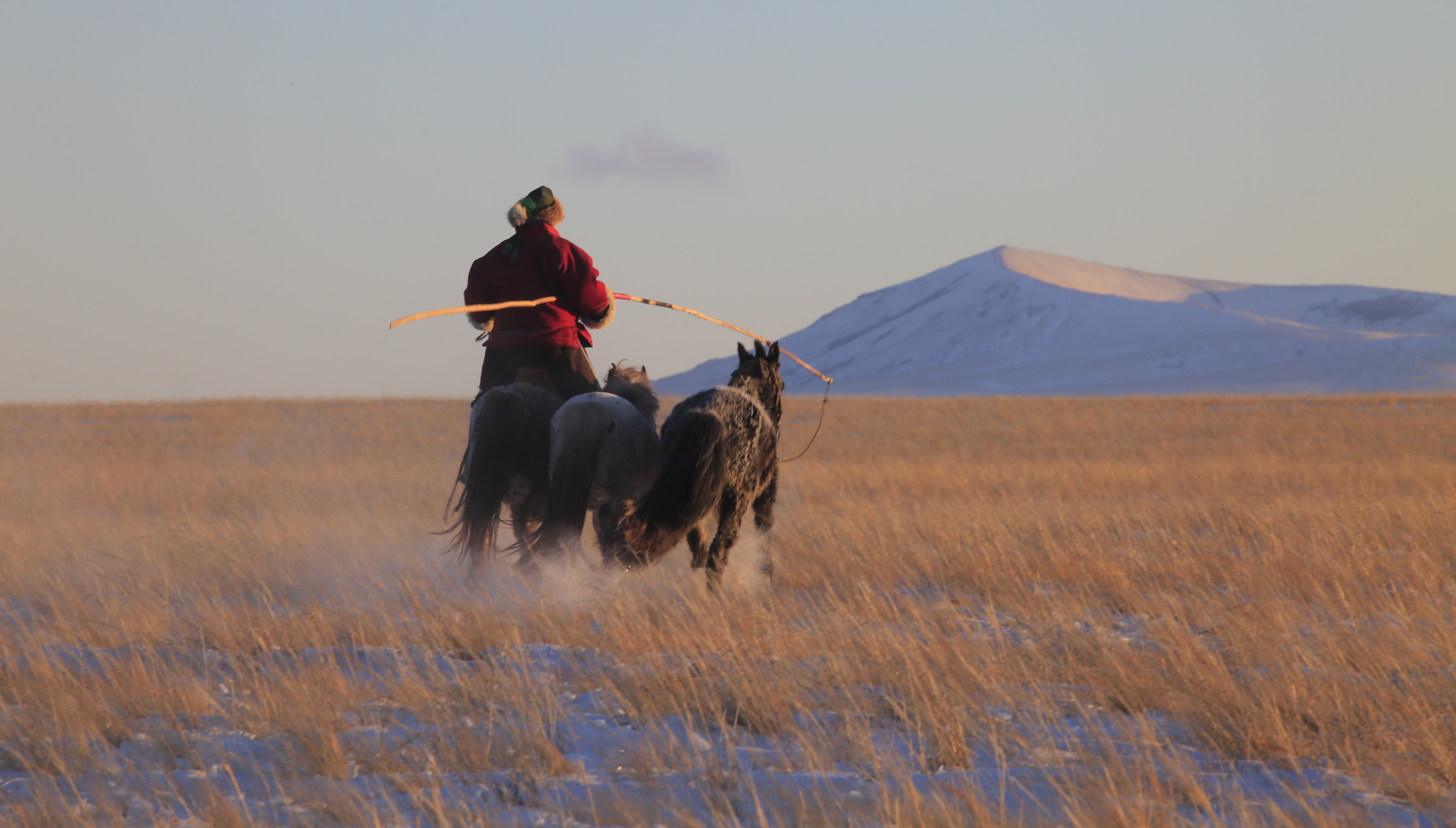 A herder with animals looks out towards the horizon with ice covering the ground.