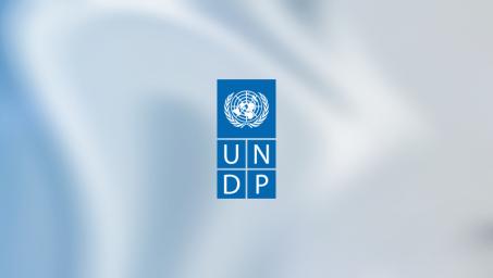UNDP logo meta image