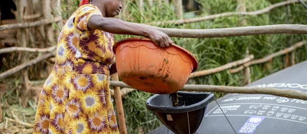 woman pouring organic waste
