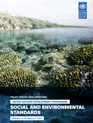 UNDP Social and Environmental Standards Cover Image