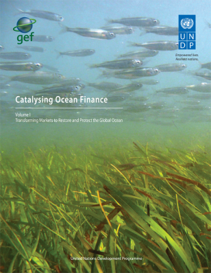 COVER-Catalysing-Ocean-Finance-Vol-I-1.png