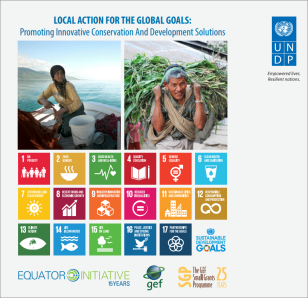 COVER_LocalAction4GlobalGoals_EI.PNG