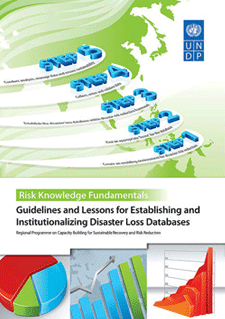 Guidelines-and-Lessons-for-Estabilishing-and-Institutionalizing-Disaster-Loss-Databases.pdf.thumb.319.319.png
