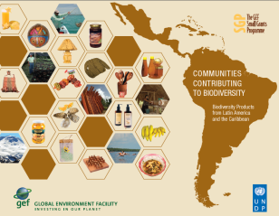 SGP-Communities-cover.PNG