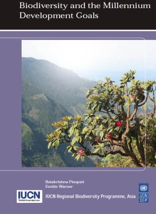 UNDP-Biodiversity-MDGs-cover.jpg