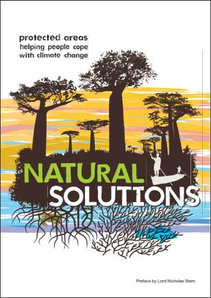 UNDP-Biodiversity-Natural-Solutions-cover.jpg