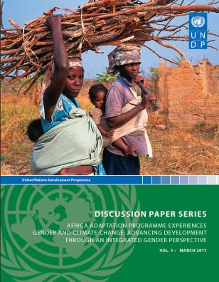 UNDP-CC-AAP-Discussion-Paper1-cover.jpg