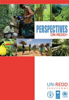UNDP-CC-Perspectives-on-REDD-cover.jpg