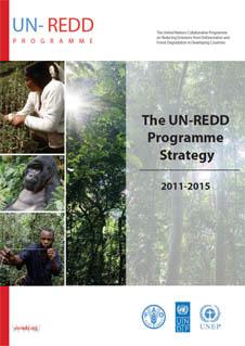 UNDP-CC-UN-REDD-Programme-Strategy-2011-2015.jpg