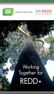 UNDP-CC-Working-Together-for-REDD-cover.jpg