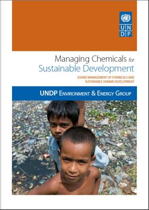 UNDP-Chemicals-Managing-SD-cover.jpg