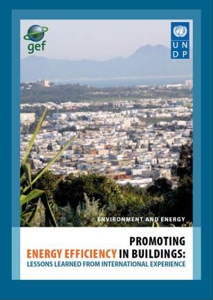 UNDP-Energy-Promoting-Energy-cover.jpg