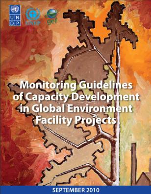 UNDP-IntEnv-Monitoring-Guidelines-cover.jpg