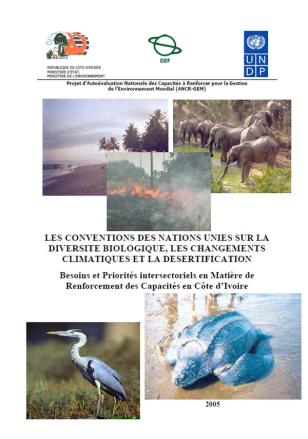UNDP-Mainstreaming-NCSA-covers.jpg