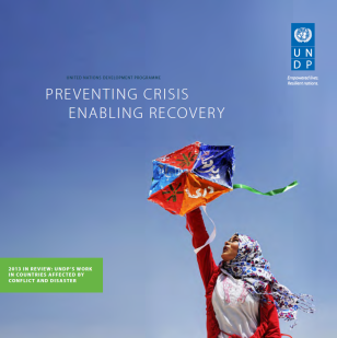 UNDP_CPR_CPRAR2013_cover.PNG