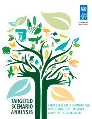 UNDP_Targeted Scenario Ananlysis_2013_cover.PNG