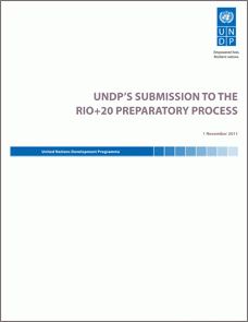 UNDPs-Submission-to-the-RIO+20-preparatory-process-EN-1.gif