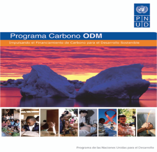 Programa Carbono ODM_SP_Cover.png