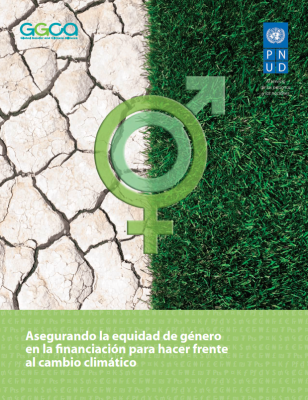 undp-global-ensuring-gender-2013-ES.png