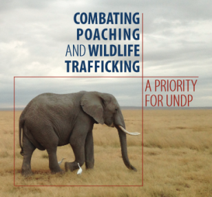 COVER_Wildlife Trafficking Brochure.PNG