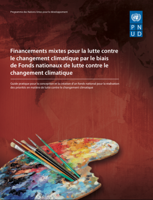 cover_FR_financements_mixtes_lutte_contre_changement_climatique.png