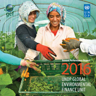 thumbnail 2016 UNDP-GEF APR.PNG