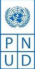 Footer PNUD Logo