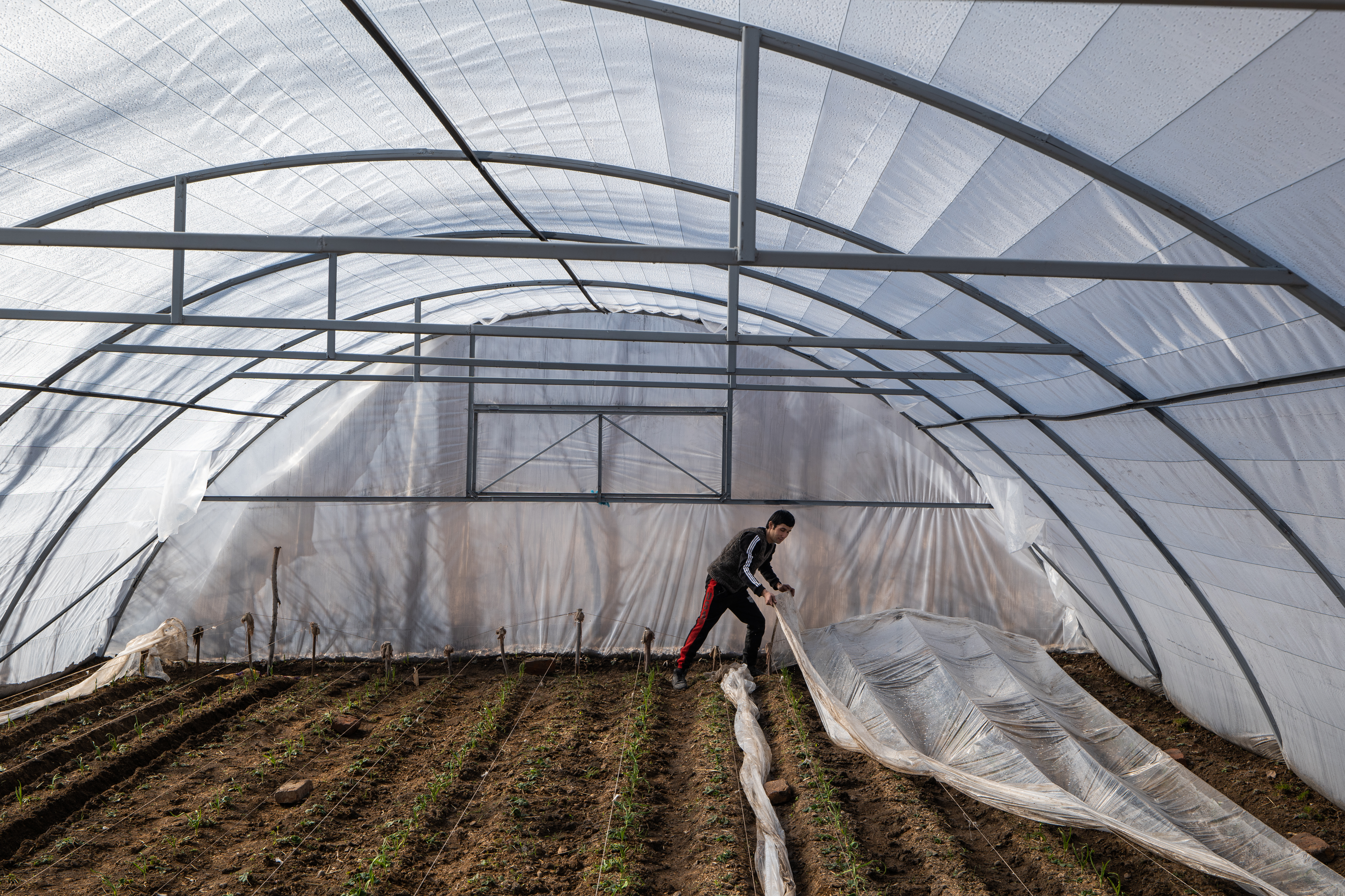 A man in his greenhouse