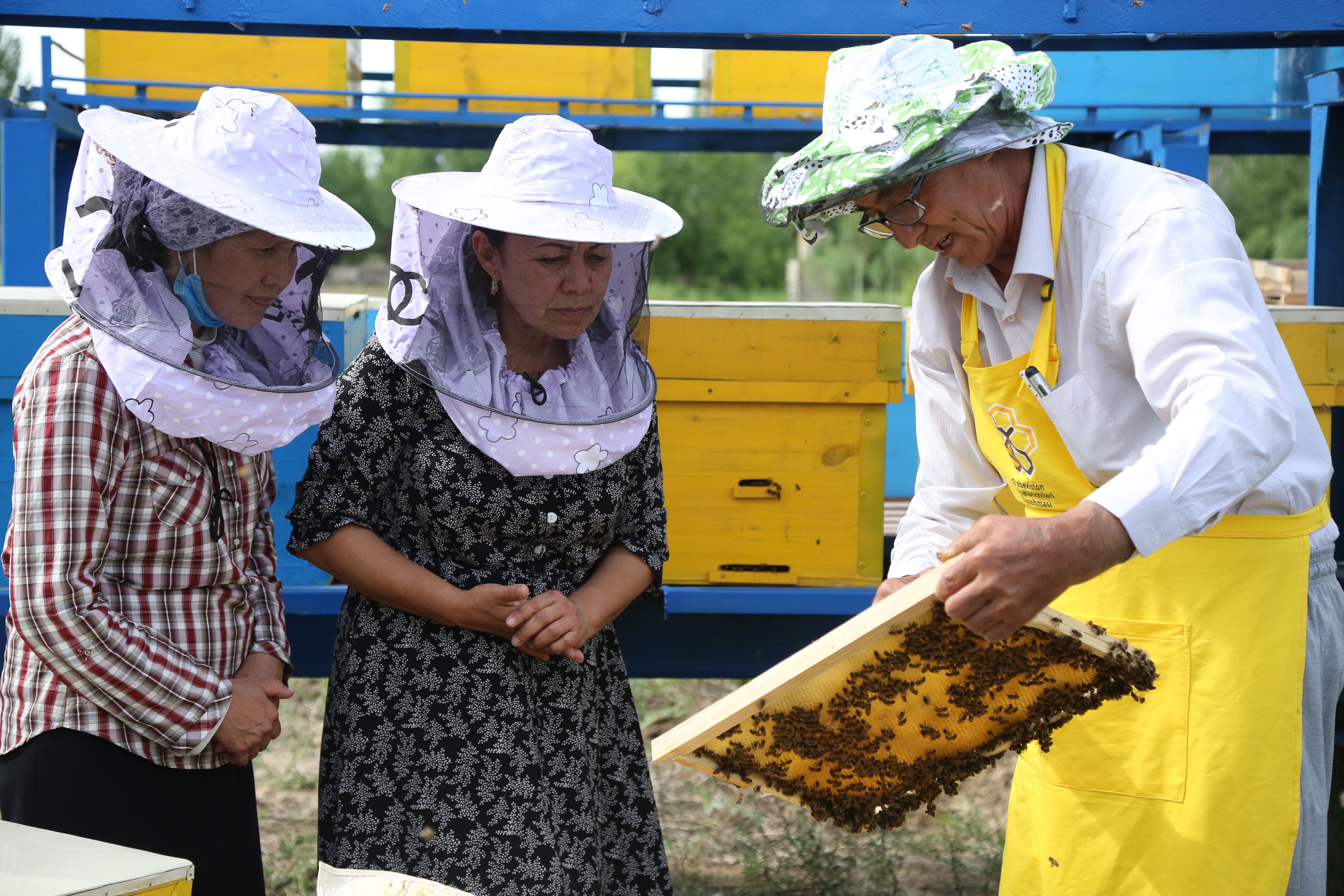 II. Benefits of Beekeeping for the Local Economy