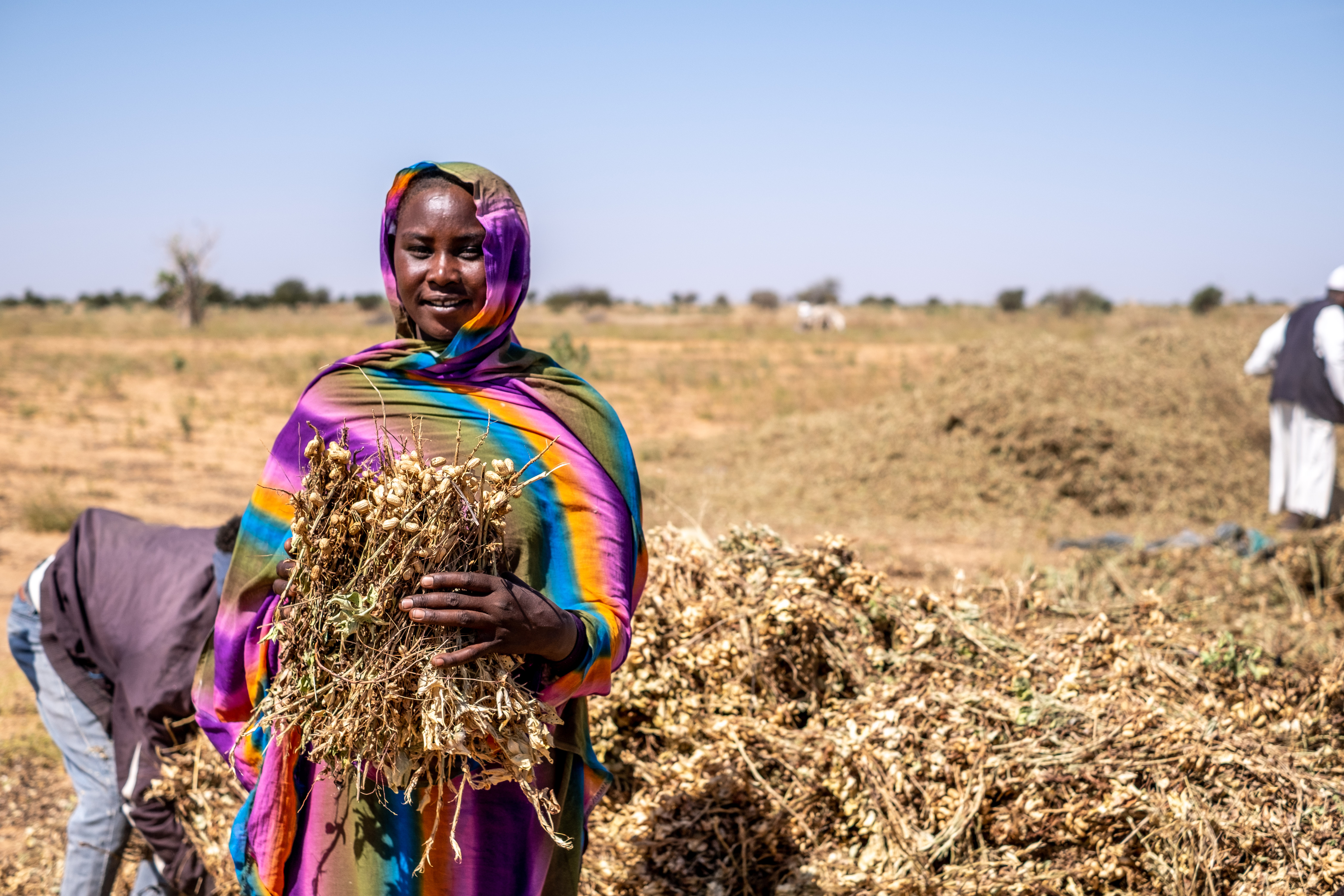 Enhancing community stabilization in Darfur.