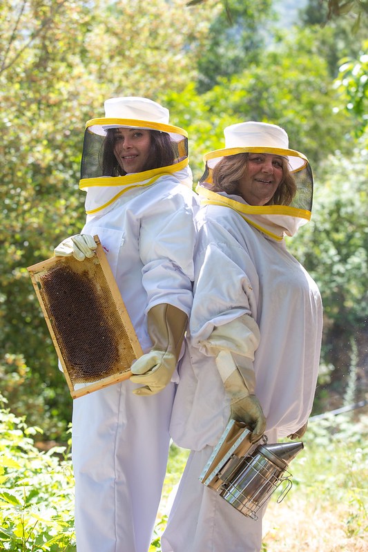 Women at Beehives 