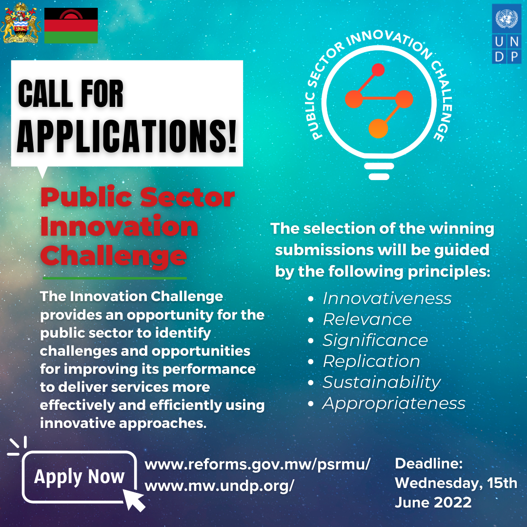 The Public Sector Innovation Challenge