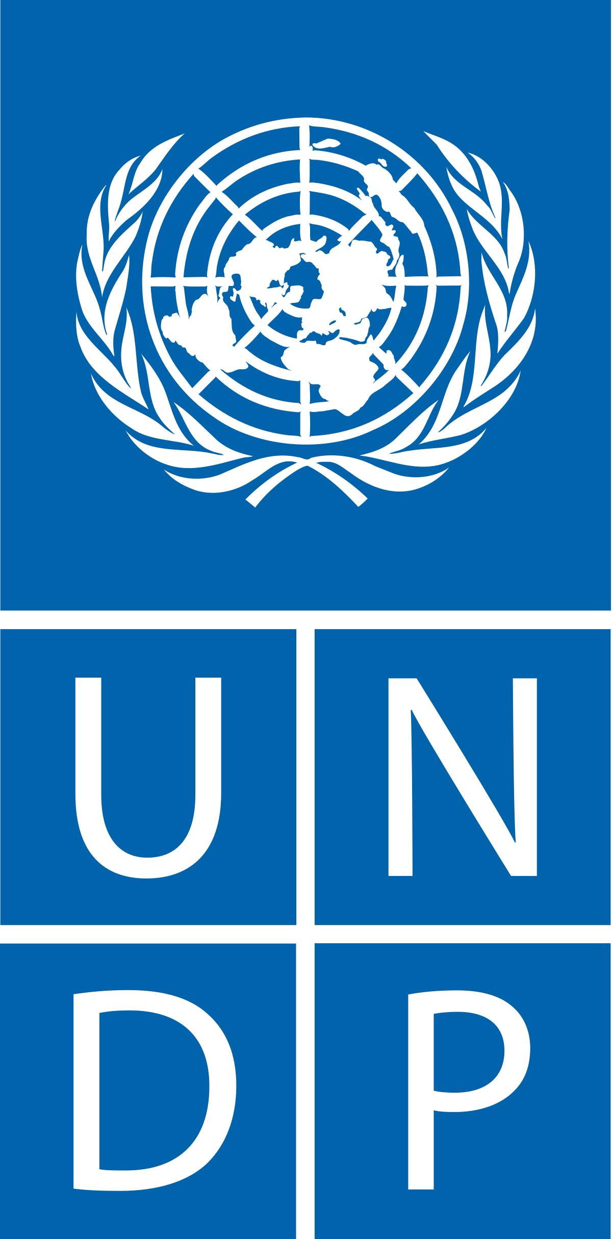 UNDP駐日代表事務所