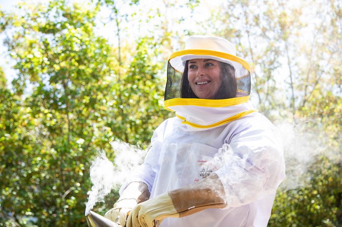Women working in beehives 
