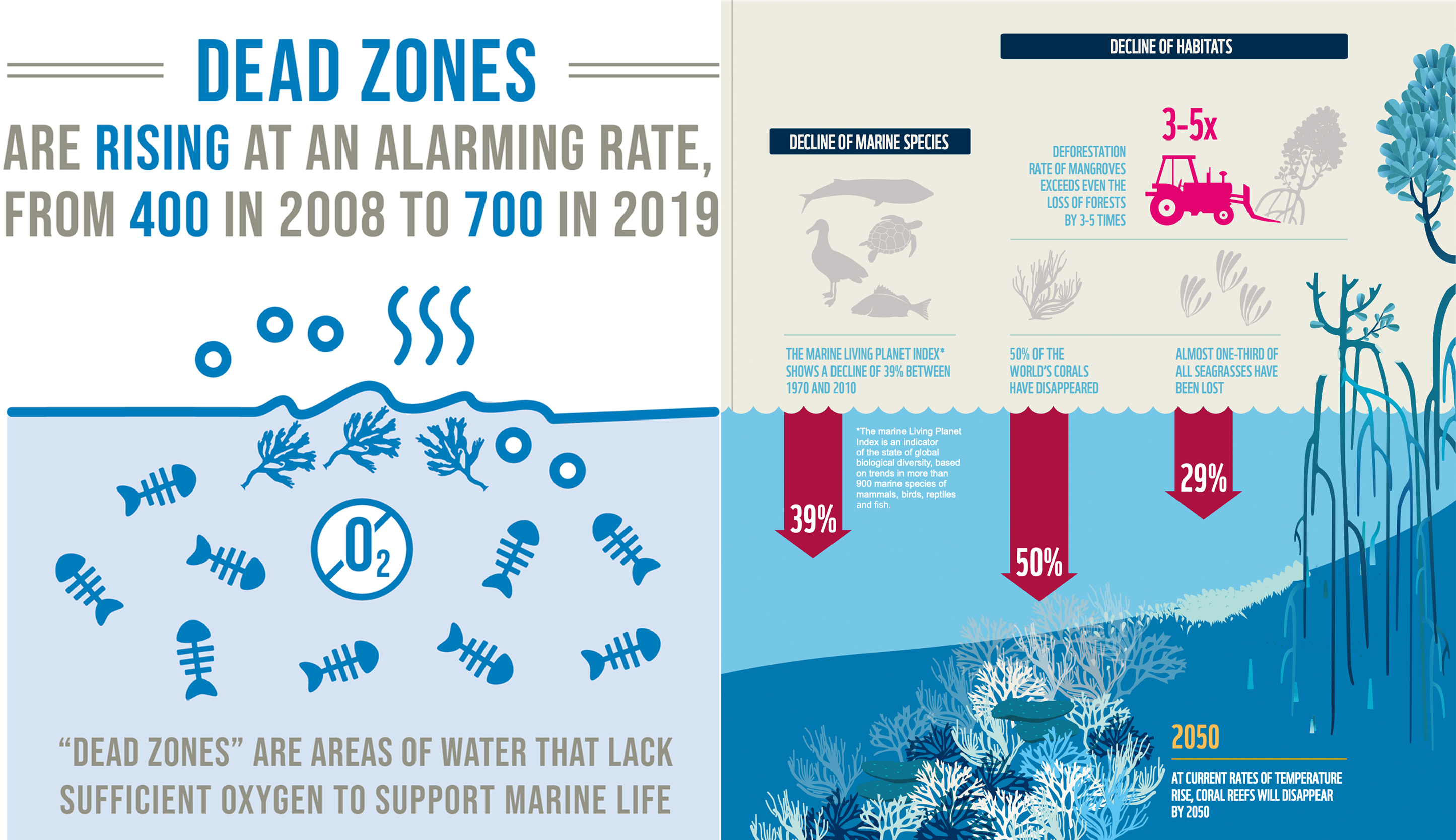 A Nature-based Solution for Resilient Oceans Illustration