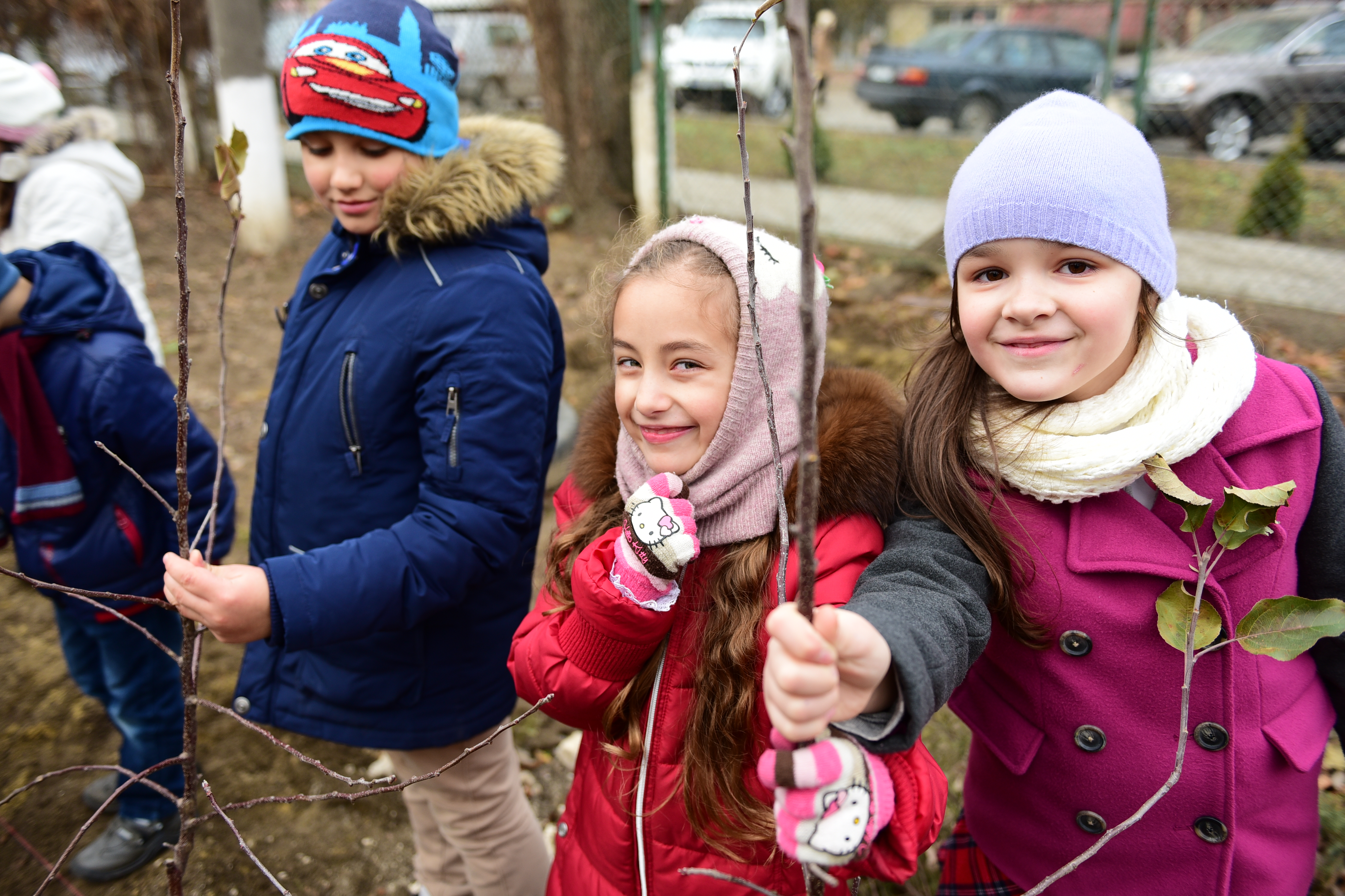 Planting orchard initiative as part of “Coolege Vitamine” campaign
