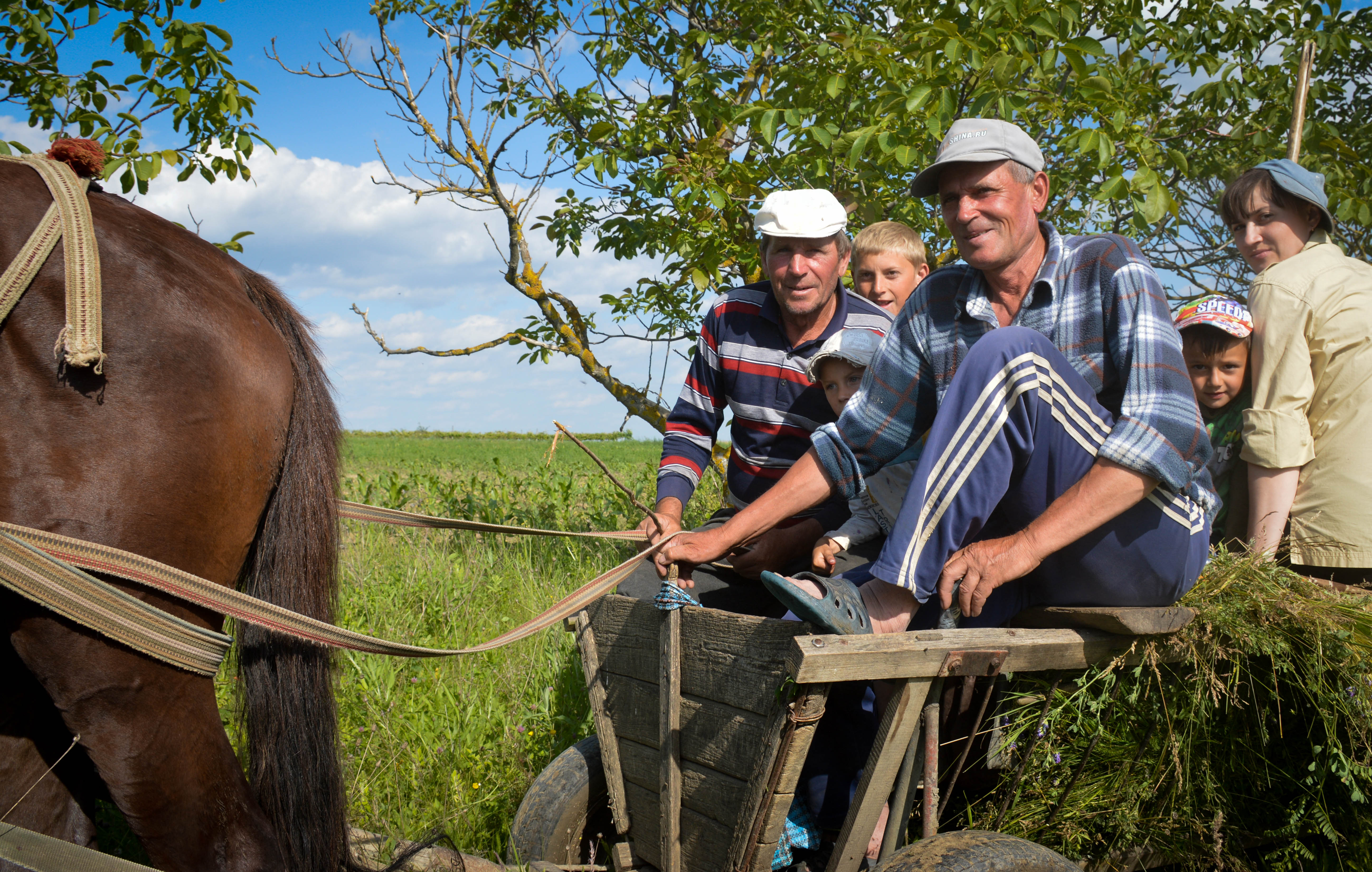 500 ha of pastures in Orhei National Park region have been rehabilitated with European Union support