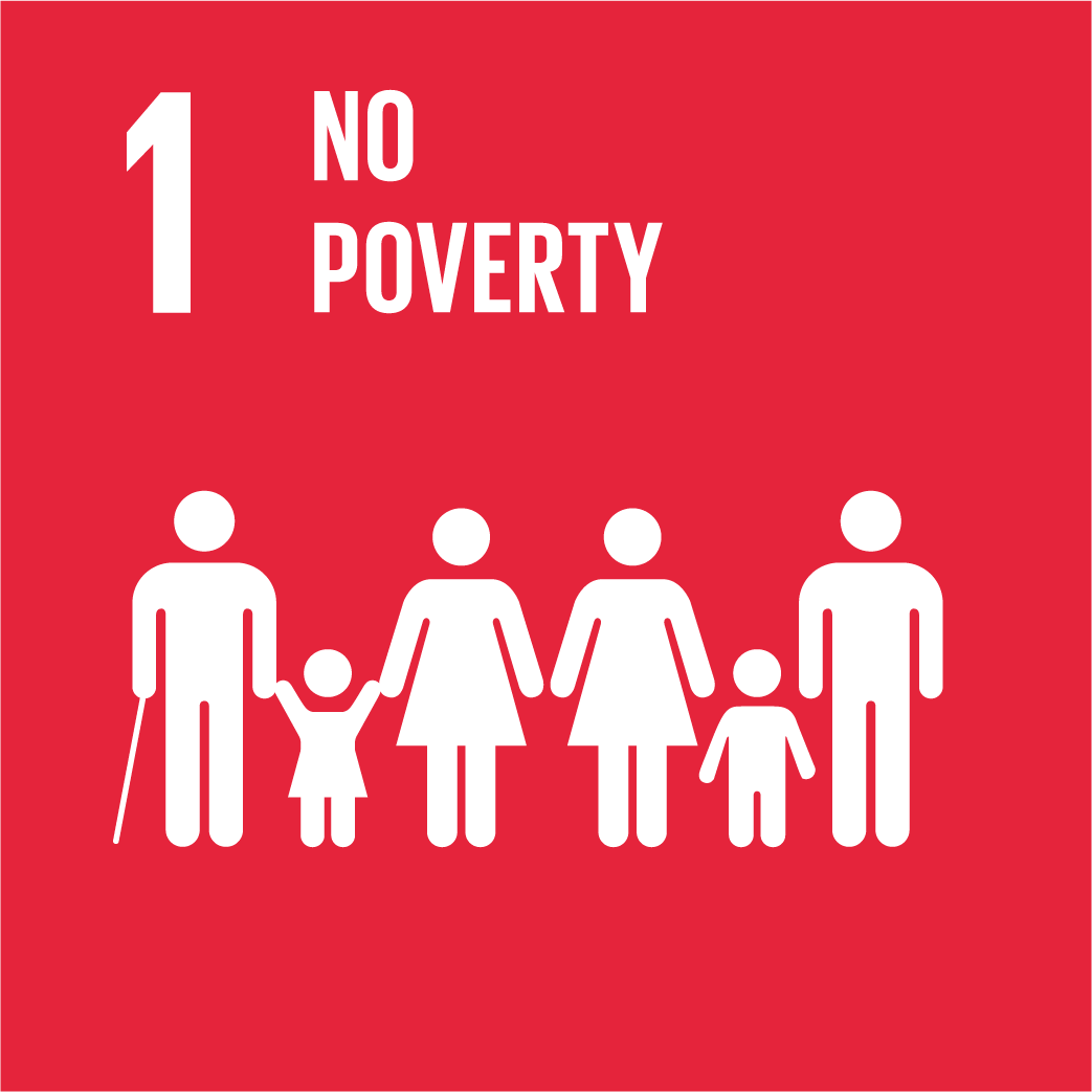 UNDP Goal 1 No Poverty