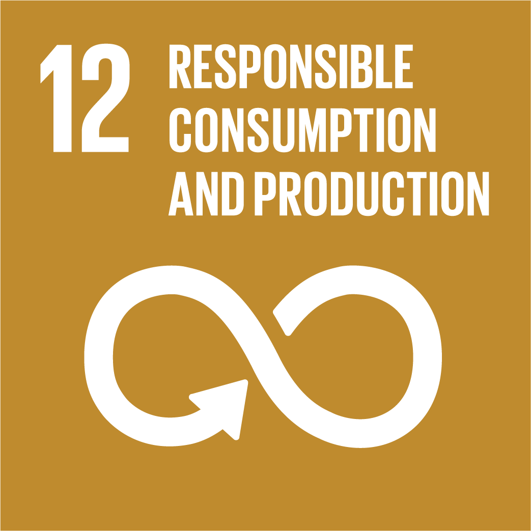UNDP Goal 12 Responsible Consumption and Production