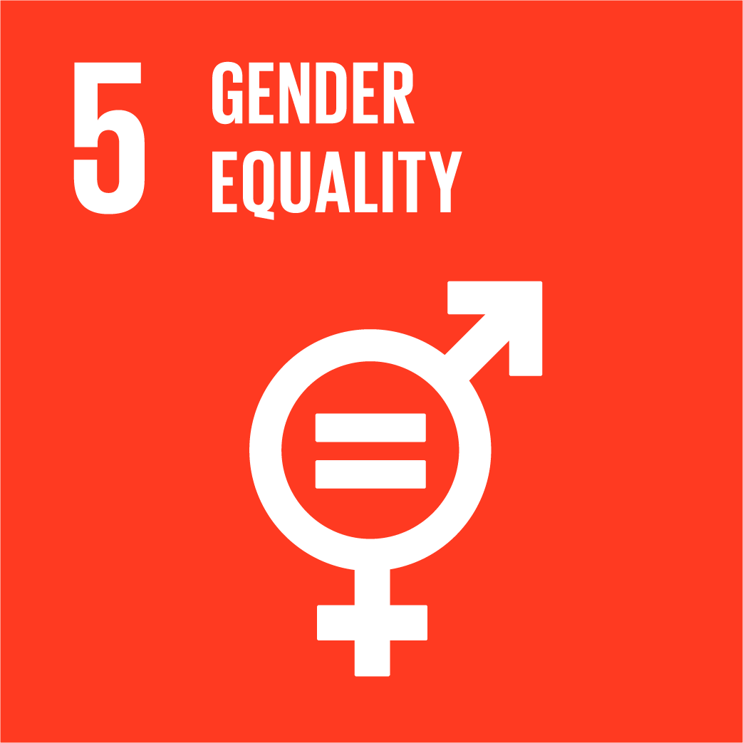 UNDP Goal 5 Gender Equality
