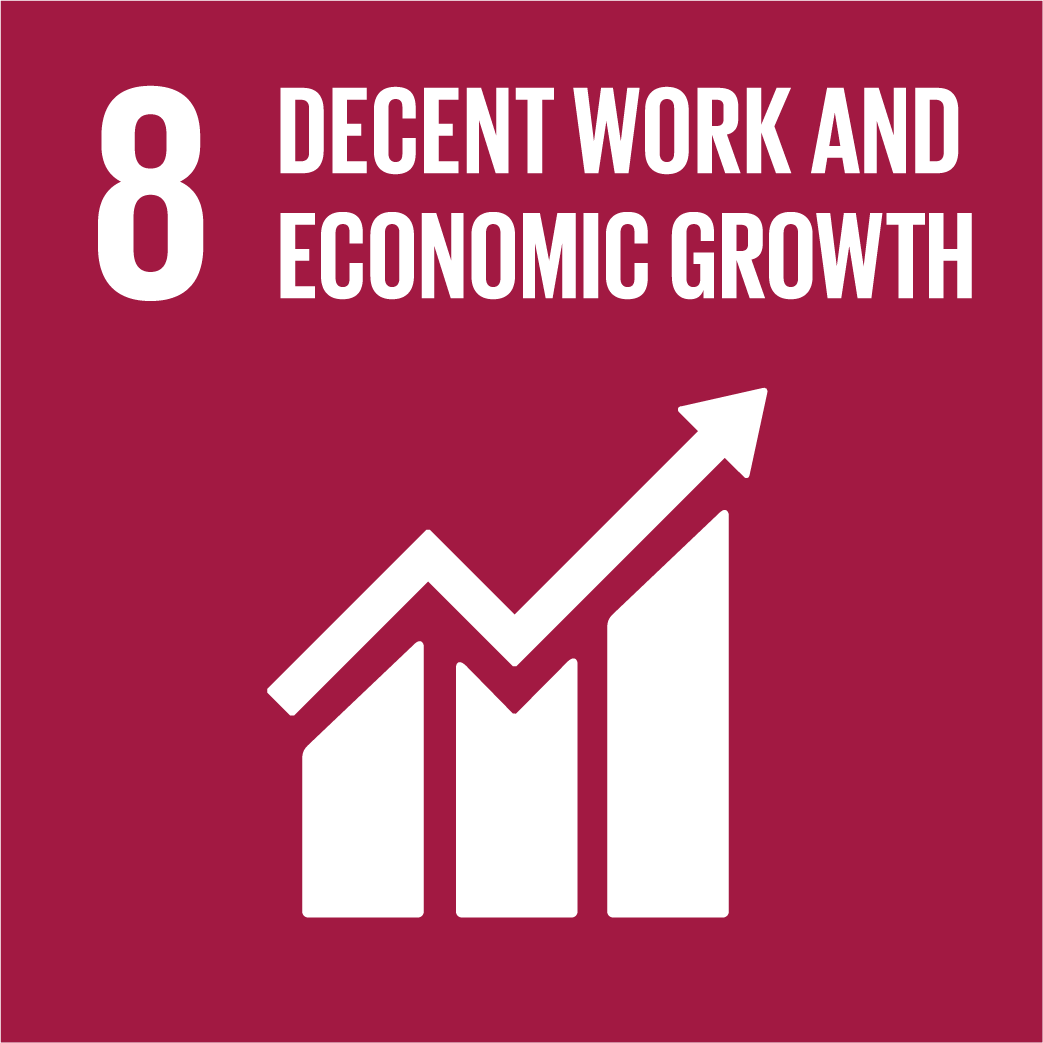 UNDP Goal 8 Decent Work and Economic Growth