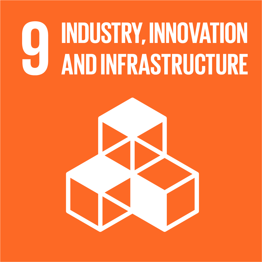 UNDP Goal 9 Industry, Innovation and Infrastructure