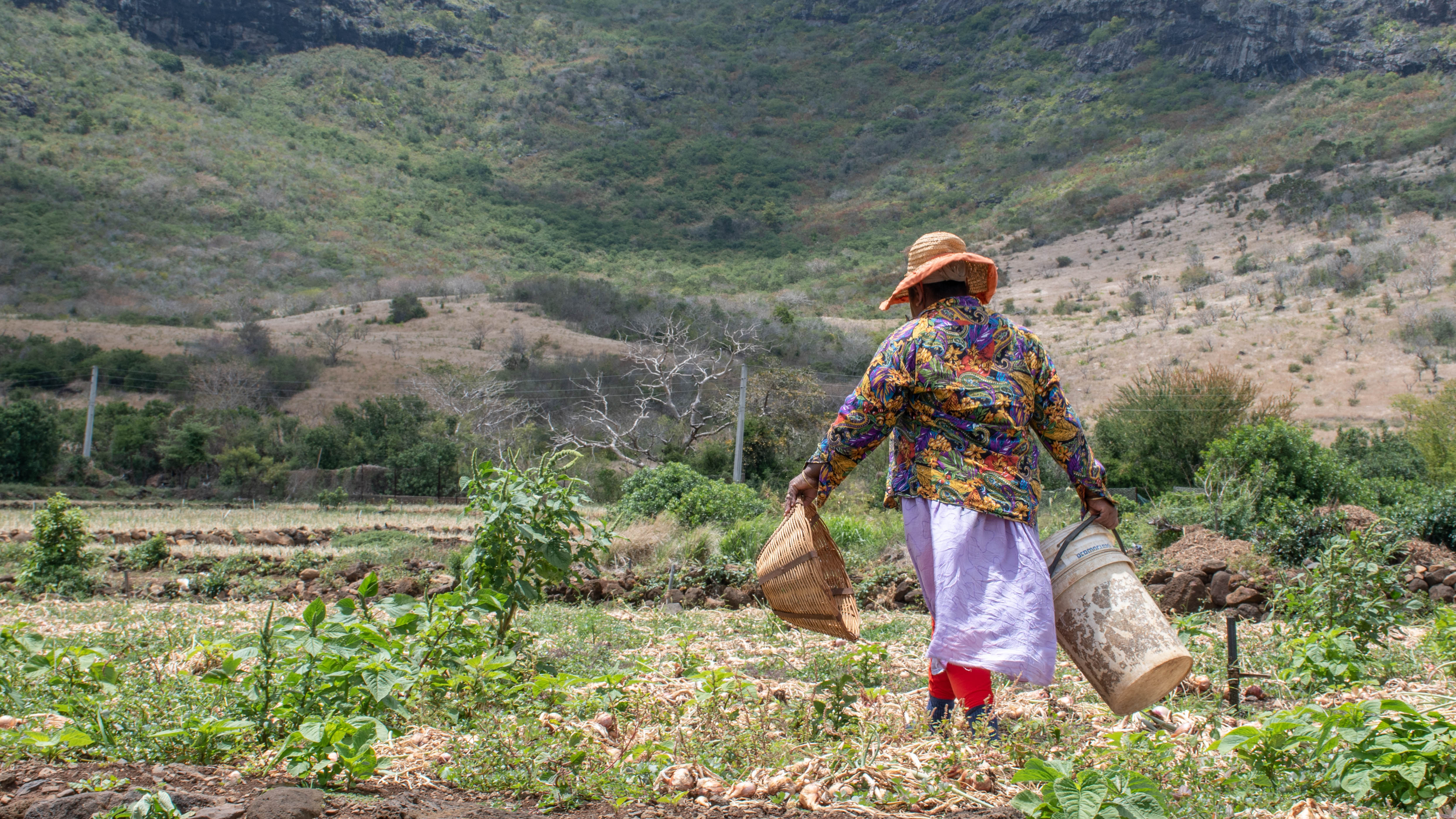 Farmer at La Chaumiere in Mauritius
