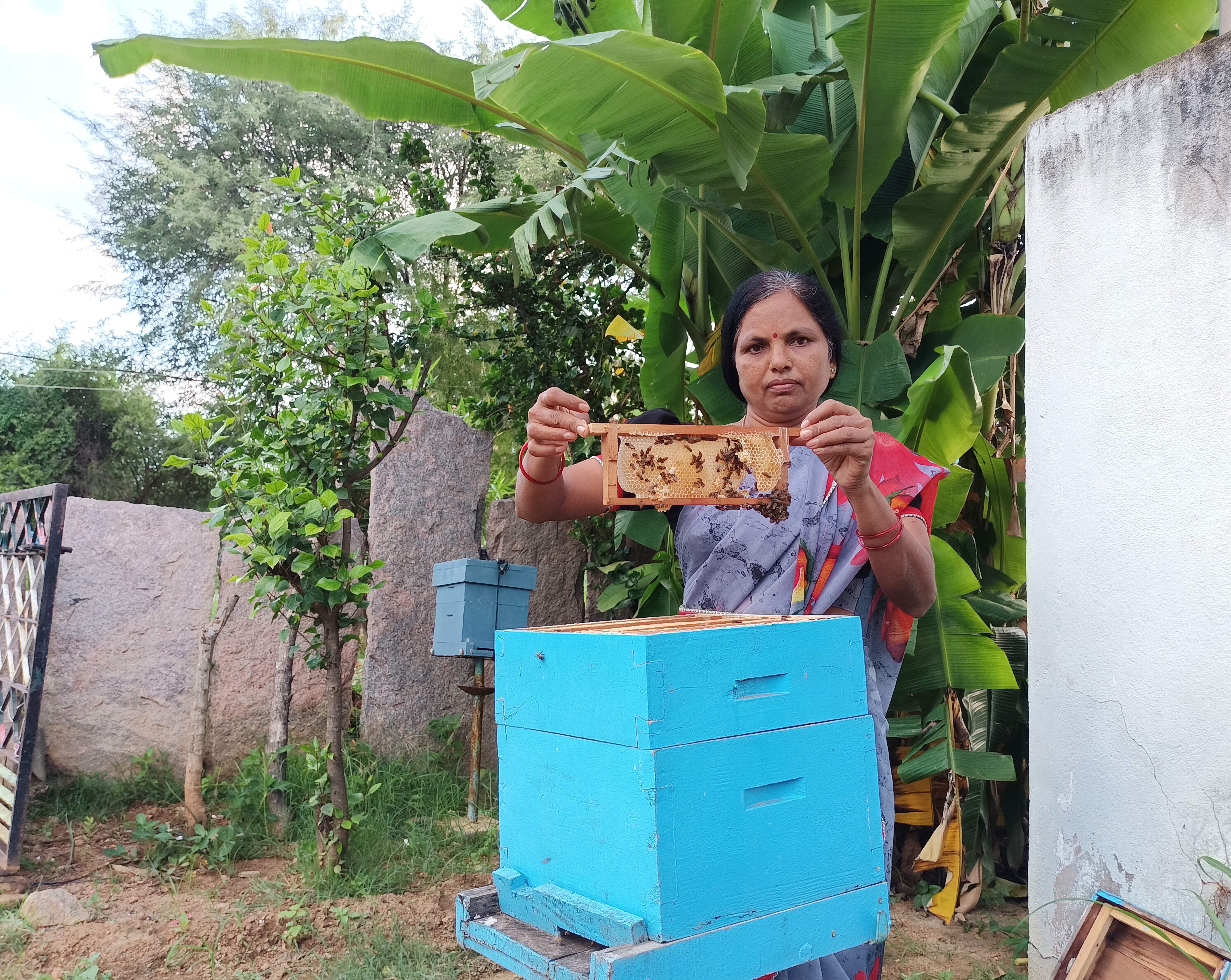 Savitramma, an avid apiarist and entrepreneur has built a sustainable honey business