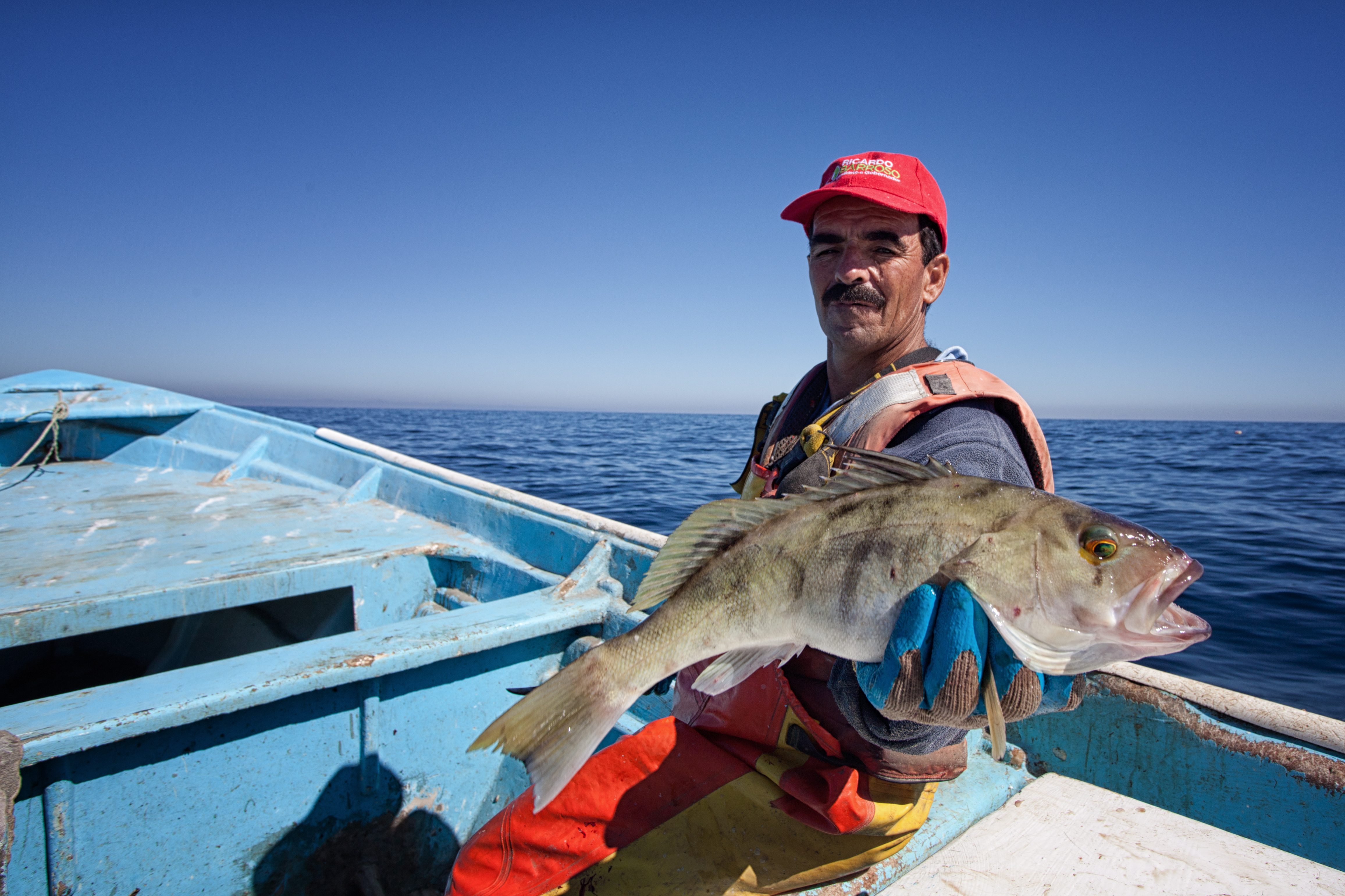 Small-scale fishers in Mexico out in the sea press release photo