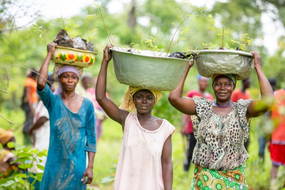 Women carrying seedlings