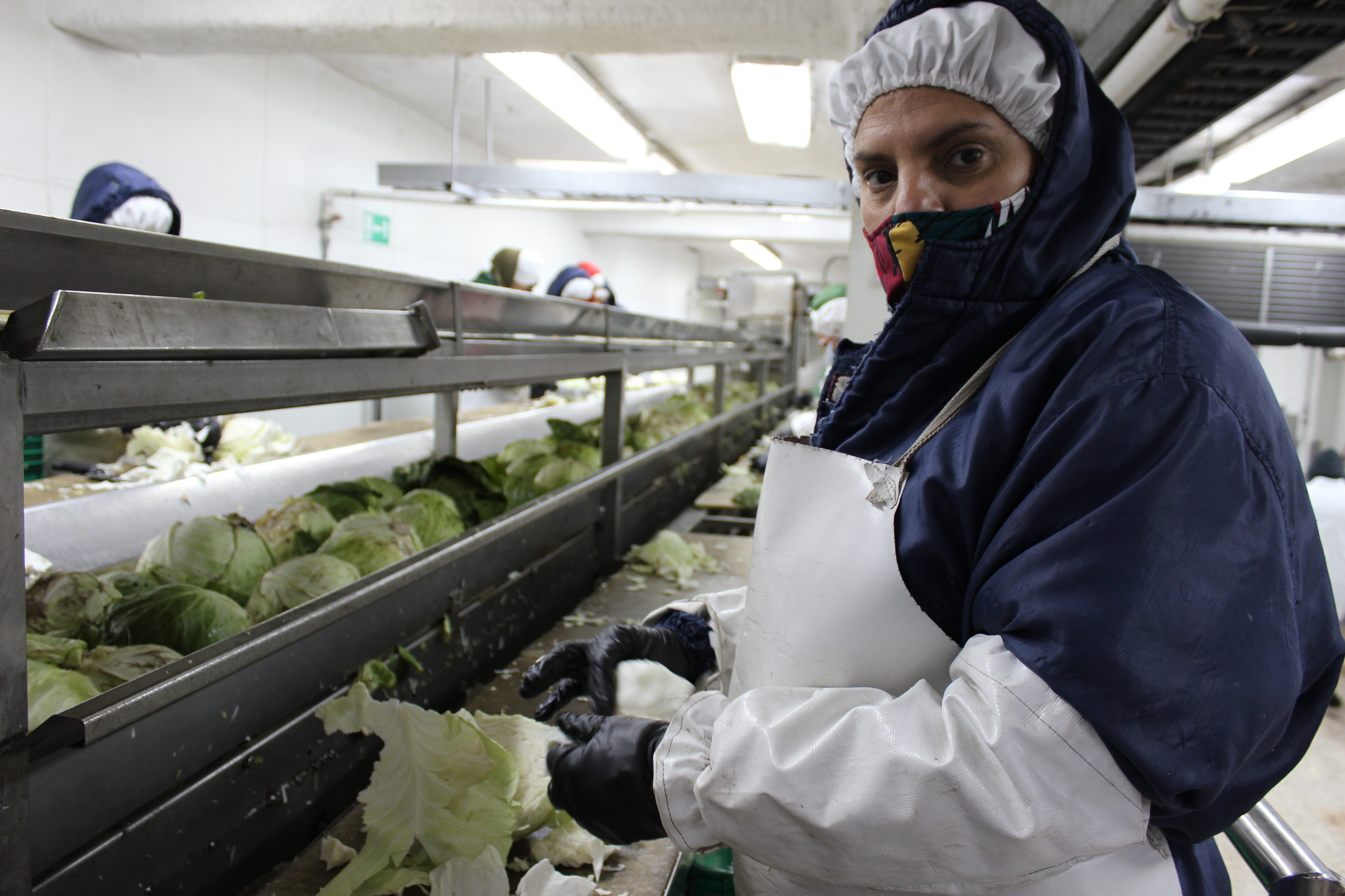 Hombre trabajando en una empresa venezolana del sector agroalimentario 