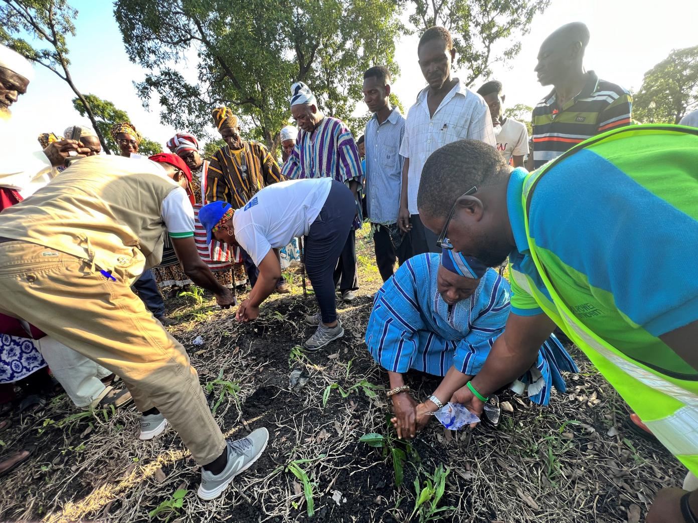 Angela Lusigi, die UNDP-Vertreterin in Ghana, und der Häuptling von Maluwe, Sulemana Bramani, pflanzen einen Baum zum Start des OneTrePlanted-Programms.